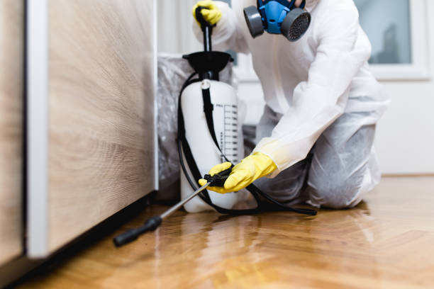 Best Mosquito Control Services  in Postville, IA