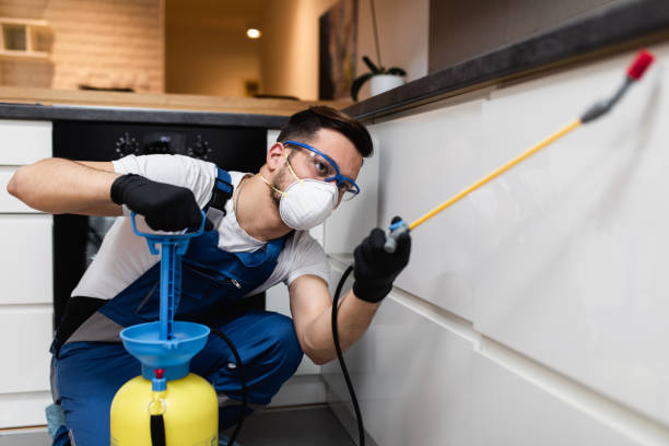 Best Pest Control Near Me  in Postville, IA