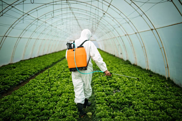 Professional Pest Control in Postville, IA