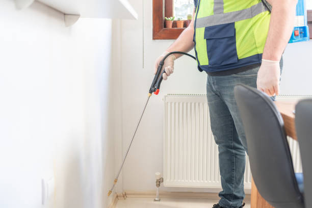 Best Local Pest Control Services  in Postville, IA