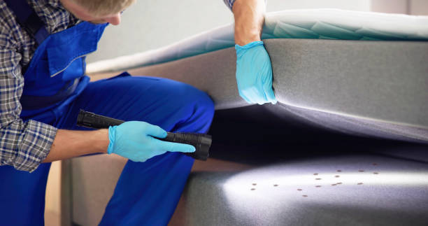 Best Wasp Removal Services  in Postville, IA