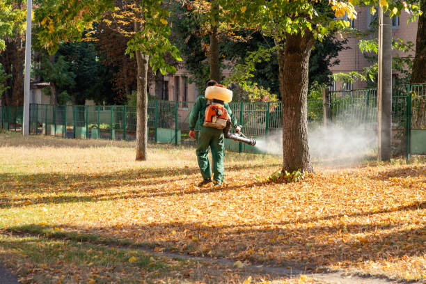 Wasp Removal Services in Postville, IA