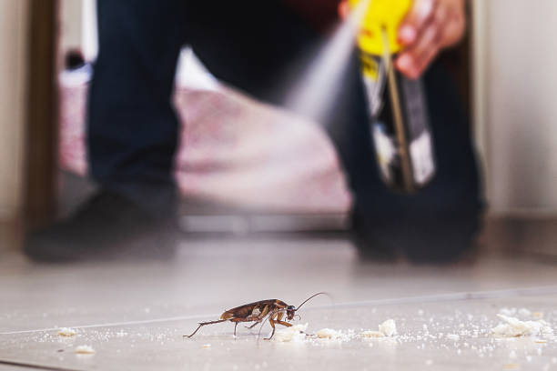 Best Residential Pest Control  in Postville, IA