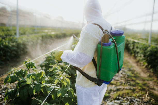 Best Emergency Pest Control  in Postville, IA